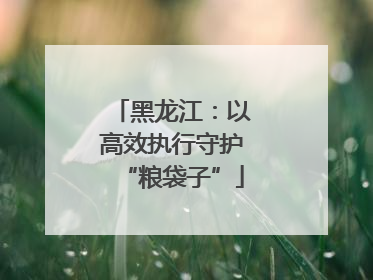 黑龙江：以高效执行守护“粮袋子”