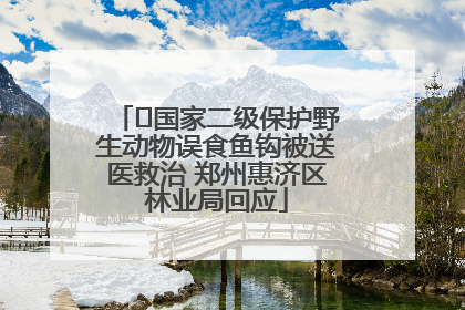 ﻿国家二级保护野生动物误食鱼钩被送医救治 郑州惠济区林业局回应