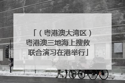 （粤港澳大湾区）粤港澳三地海上搜救联合演习在港举行