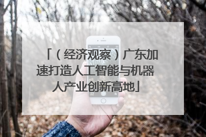 （经济观察）广东加速打造人工智能与机器人产业创新高地