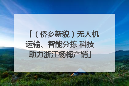 （侨乡新貌）无人机运输、智能分拣 科技助力浙江杨梅产销
