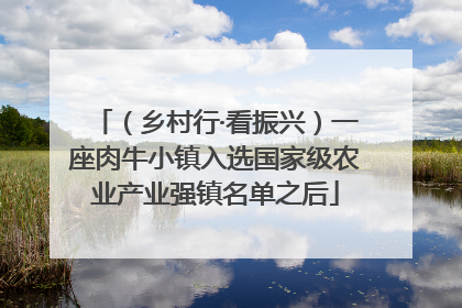 （乡村行·看振兴）一座肉牛小镇入选国家级农业产业强镇名单之后