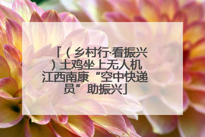（乡村行·看振兴）土鸡坐上无人机 江西南康“空中快递员”助振兴