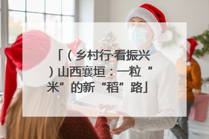 （乡村行·看振兴）山西襄垣：一粒“米”的新“稻”路