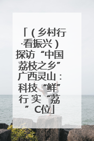 （乡村行·看振兴）探访“中国荔枝之乡”广西灵山：科技“鲜”行 实“荔”C位