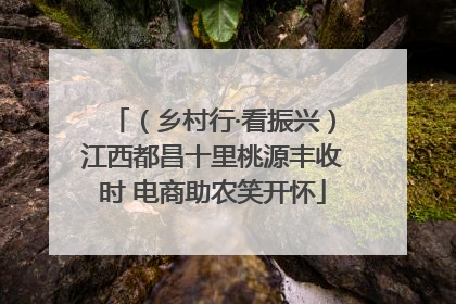（乡村行·看振兴）江西都昌十里桃源丰收时 电商助农笑开怀