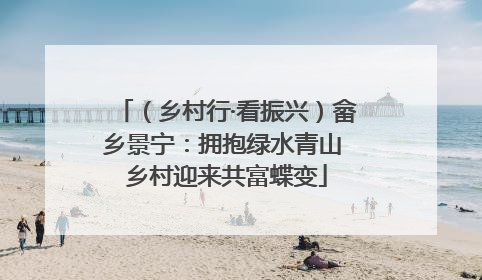 （乡村行·看振兴）畲乡景宁：拥抱绿水青山 乡村迎来共富蝶变