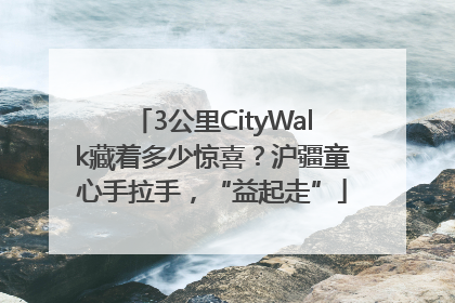 3公里CityWalk藏着多少惊喜？沪疆童心手拉手，“益起走”