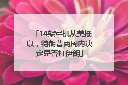 14架军机从美抵以，特朗普两周内决定是否打伊朗
