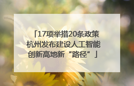 17项举措20条政策 杭州发布建设人工智能创新高地新“路径”