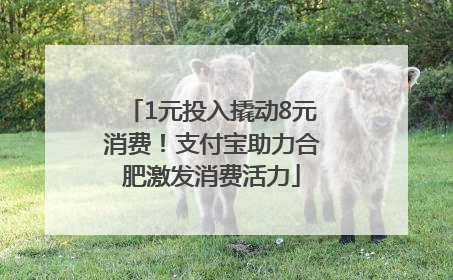 1元投入撬动8元消费！支付宝助力合肥激发消费活力