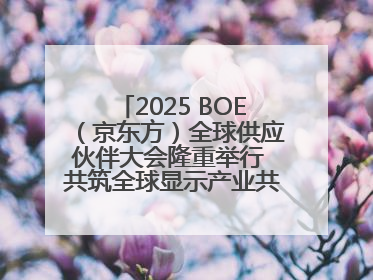 2025 BOE（京东方）全球供应伙伴大会隆重举行 共筑全球显示产业共生共赢新格局