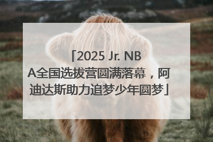 2025 Jr. NBA全国选拔营圆满落幕，阿迪达斯助力追梦少年圆梦