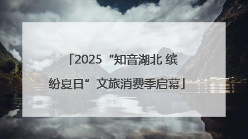 2025“知音湖北 缤纷夏日”文旅消费季启幕