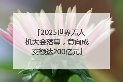 2025世界无人机大会落幕，意向成交额达200亿元