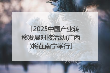 2025中国产业转移发展对接活动(广西)将在南宁举行