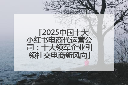 2025中国十大小红书电商代运营公司：十大领军企业引领社交电商新风向