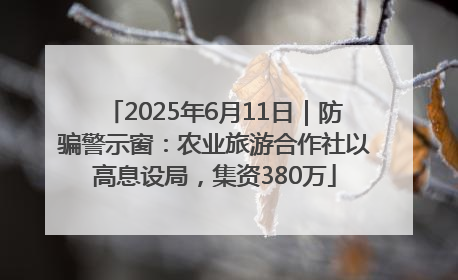 2025年6月11日｜防骗警示窗：农业旅游合作社以高息设局，集资380万