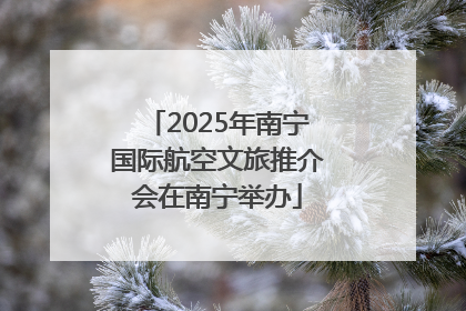 2025年南宁国际航空文旅推介会在南宁举办
