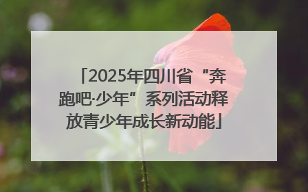 2025年四川省“奔跑吧·少年”系列活动释放青少年成长新动能