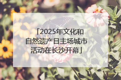 2025年文化和自然遗产日主场城市活动在长沙开幕