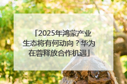 2025年鸿蒙产业生态将有何动向？华为在蓉释放合作机遇