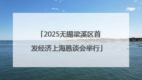 2025无锡梁溪区首发经济上海恳谈会举行