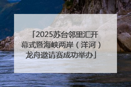 2025苏台邻里汇开幕式暨海峡两岸（洋河）龙舟邀请赛成功举办