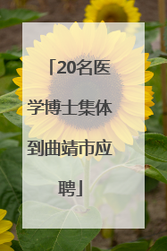 20名医学博士集体到曲靖市应聘