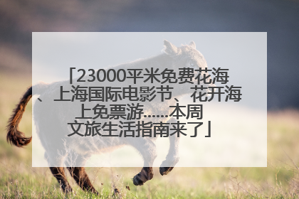 23000平米免费花海、上海国际电影节、花开海上免票游......本周文旅生活指南来了