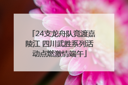 24支龙舟队竞渡嘉陵江 四川武胜系列活动点燃激情端午