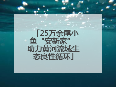 25万余尾小鱼“安新家” 助力黄河流域生态良性循环
