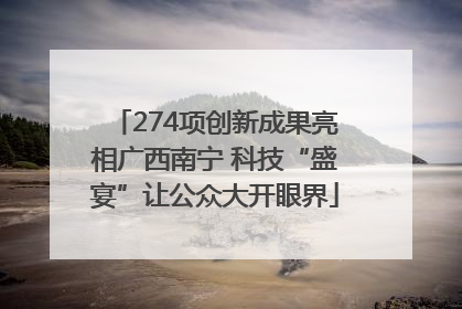 274项创新成果亮相广西南宁 科技“盛宴”让公众大开眼界