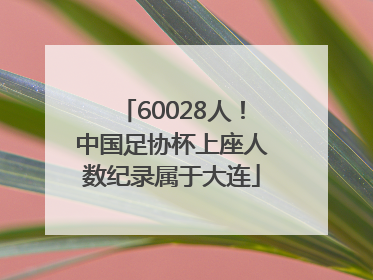 60028人！中国足协杯上座人数纪录属于大连