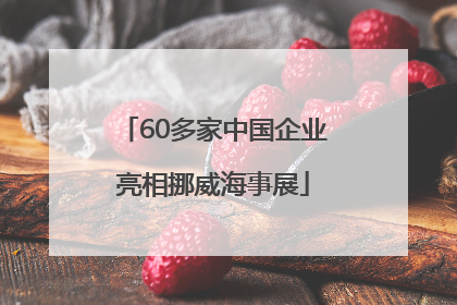 60多家中国企业亮相挪威海事展