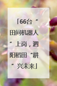 66台“田间机器人”上岗，泗阳稻田“耕”兴未来