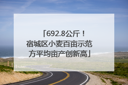 692.8公斤！宿城区小麦百亩示范方平均亩产创新高