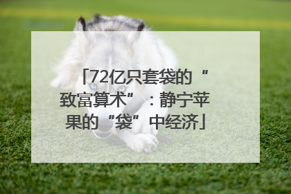 72亿只套袋的“致富算术”：静宁苹果的“袋”中经济
