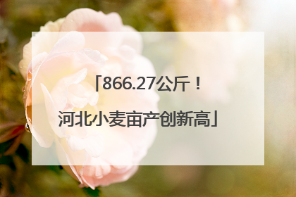 866.27公斤！河北小麦亩产创新高