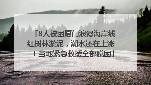8人被困厦门浪漫海岸线红树林淤泥，潮水还在上涨！当地紧急救援全部脱困