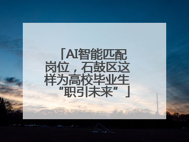 AI智能匹配岗位，石鼓区这样为高校毕业生“职引未来”
