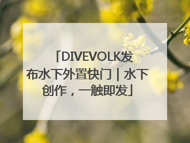 DIVEVOLK发布水下外置快门｜水下创作，一触即发