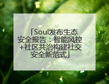 Soul发布生态安全报告：智能风控+社区共治构建社交安全新范式